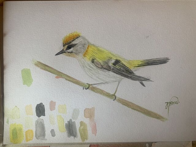 A kép forrása: WWF Portugal