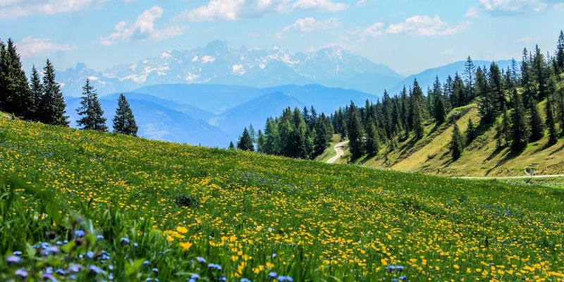 images/project/field-3123271_1280.jpg#joomlaImage://local-images/project/field-3123271_1280.jpg?width=1280&height=853